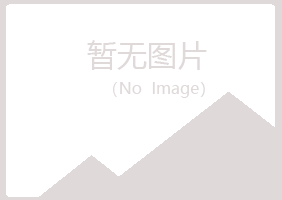 鹤山区涟漪因特网有限公司